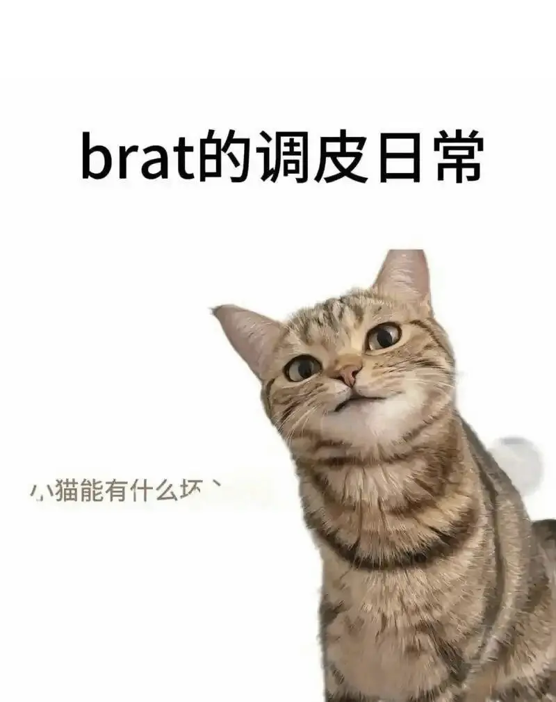 西檬之家sub是什么？字母圈新人属性解析指南 一