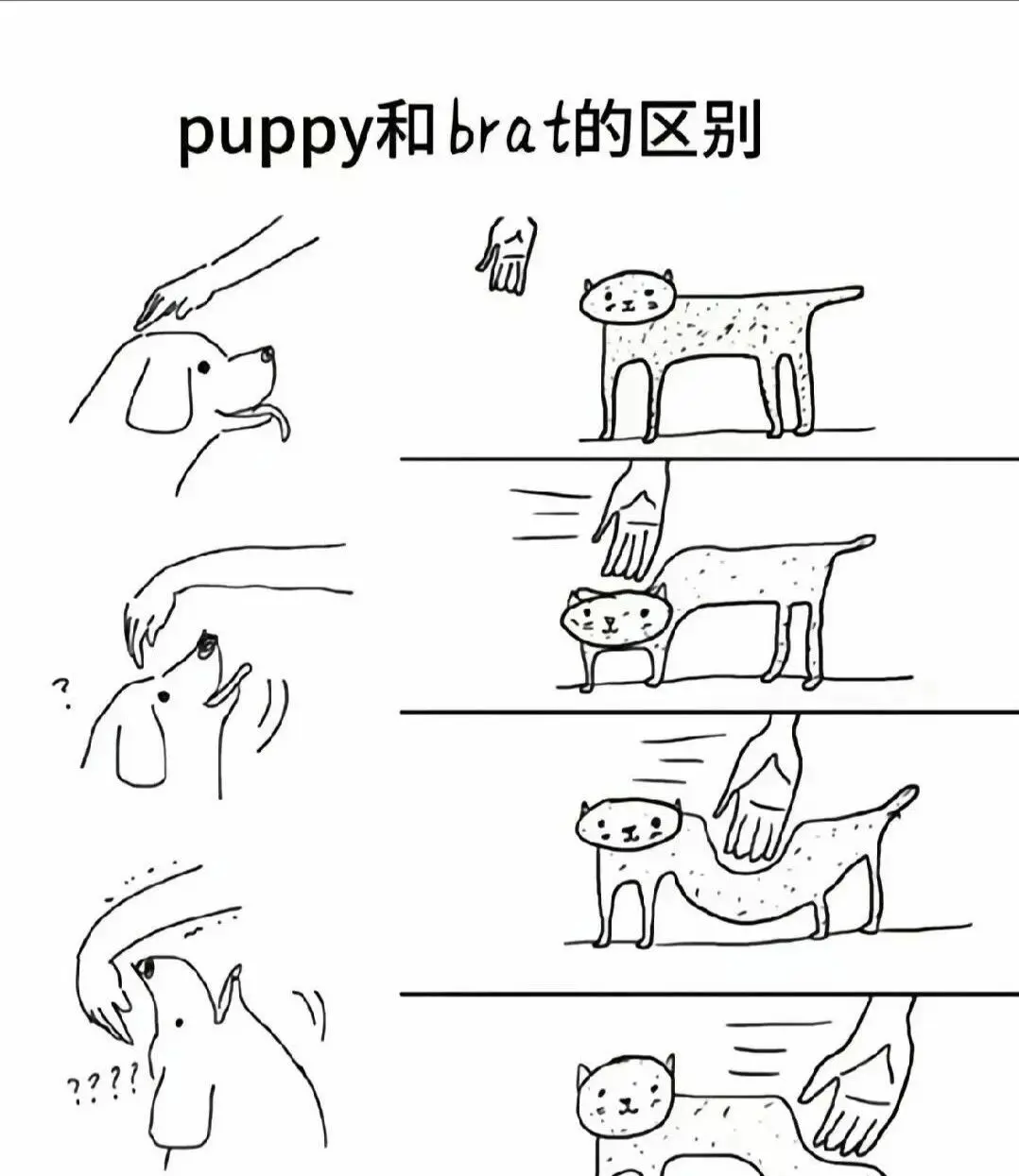 

西檬之家TS在字母圈中的安全实践指南 一
