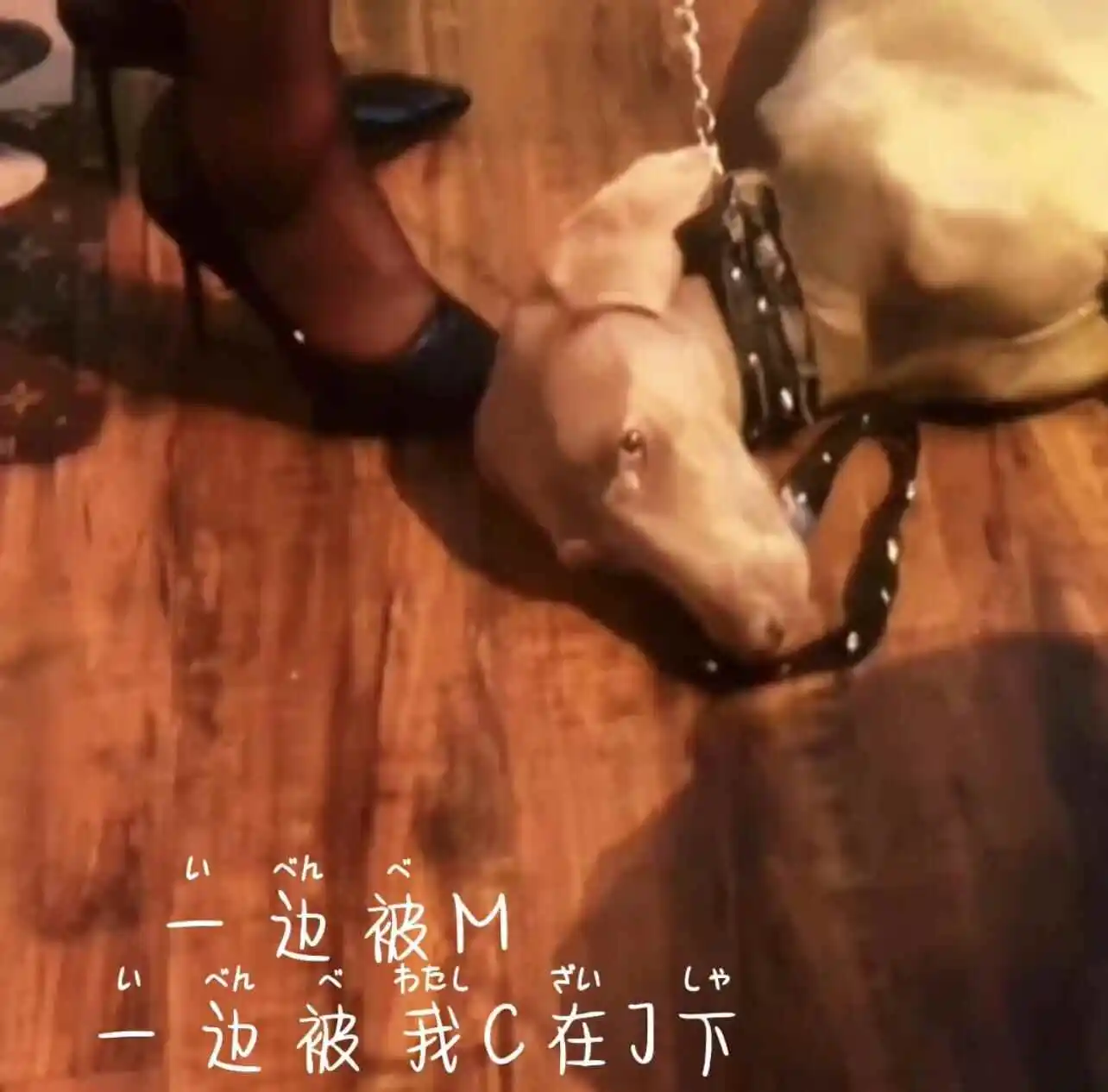 

西檬之家管教怎么实施？字母圈新人入圈 一