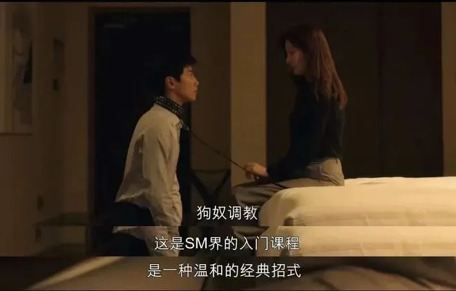 

西檬之家sp小圈是什么？新人如何入门 一