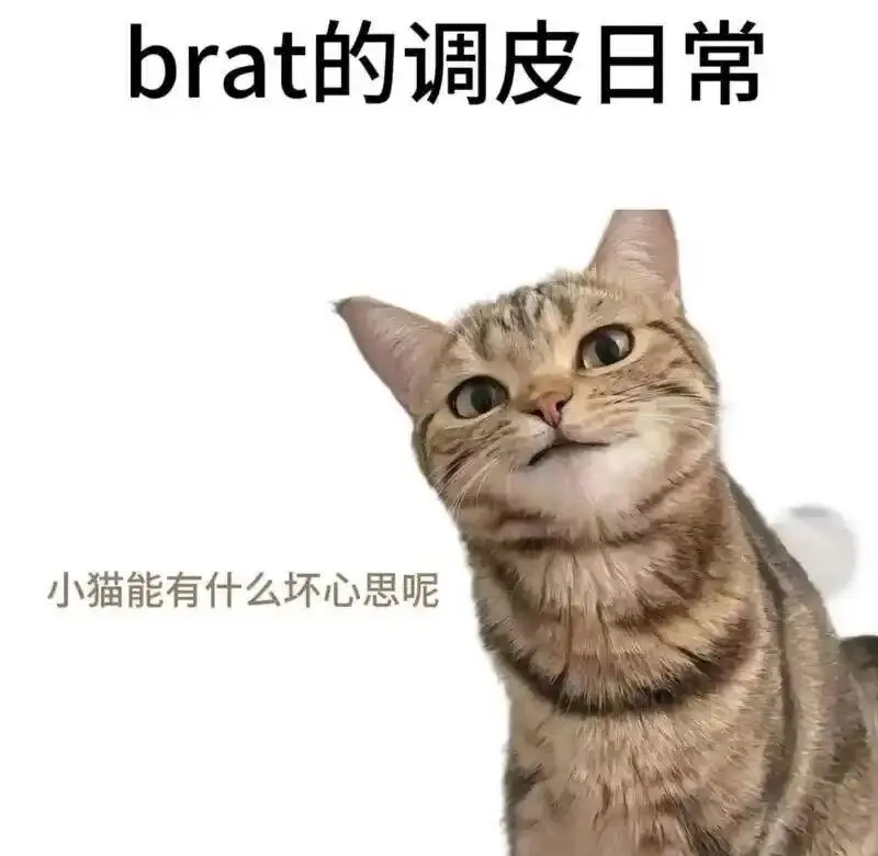 

西檬之家字母圈的管教是什么意思 一