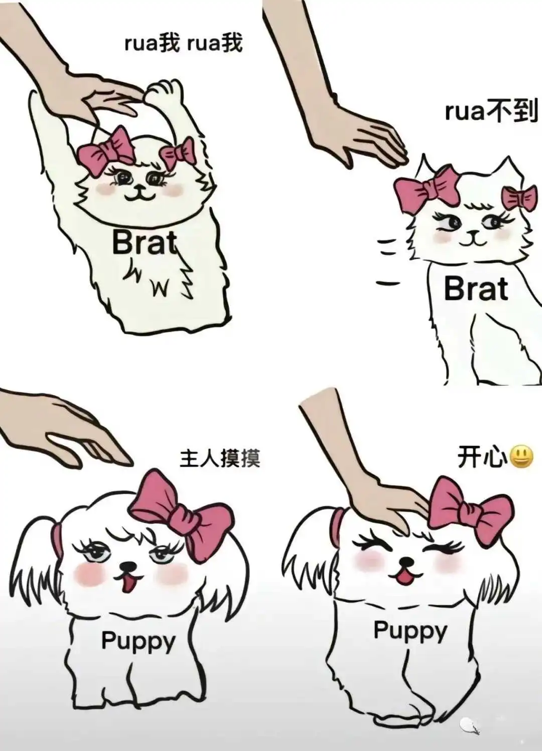 

西檬之家sp小圈入门指南 一